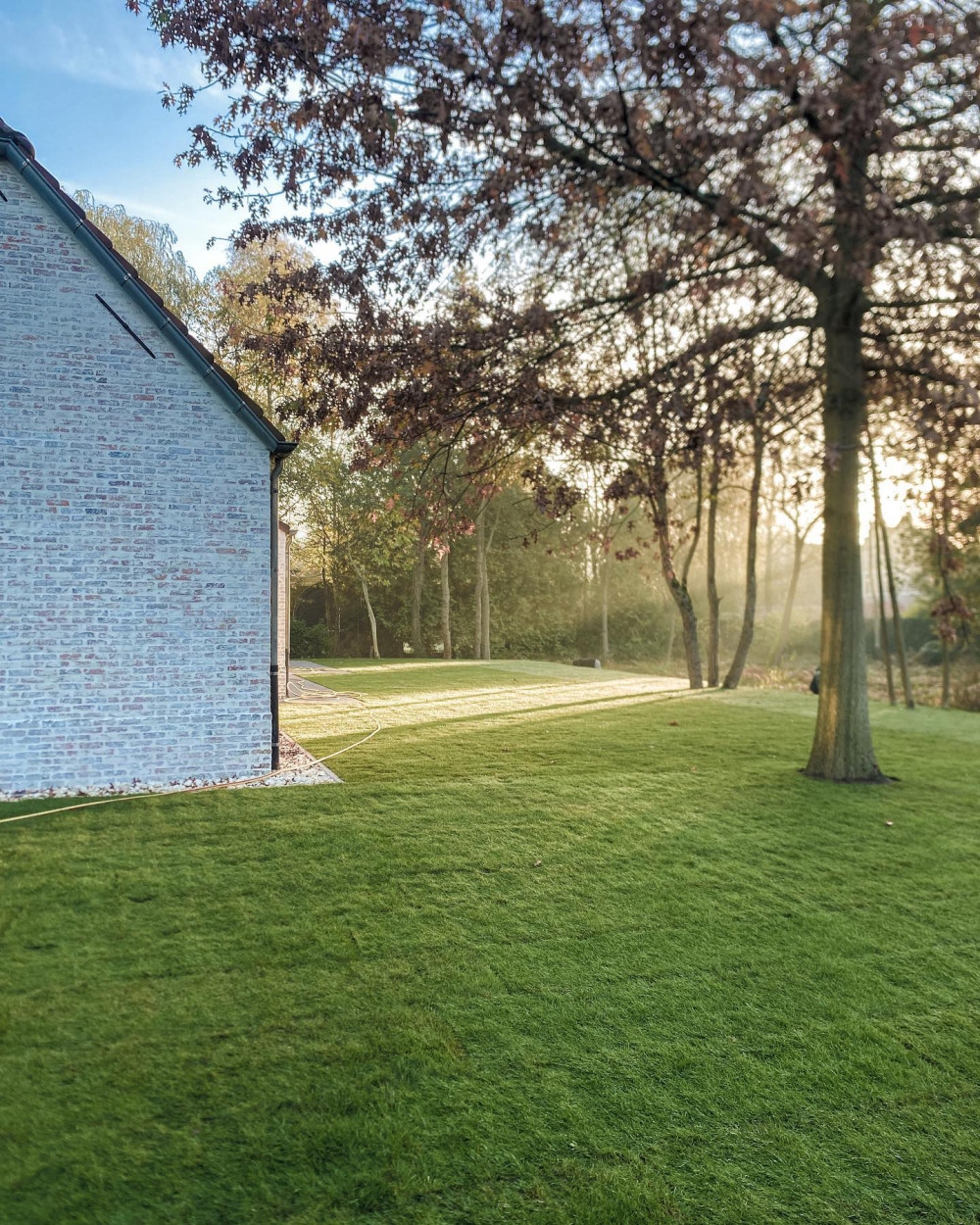 Oprit en tuin te Lichtaart